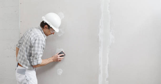 Asbestos and Lead Testing During Mold Inspection in Brentwood, MD